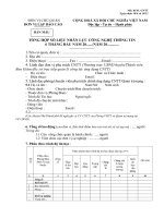 Bản mẫu tổng hợp số liệu nhân lực công nghệ thông tin 6 tháng đàu năm