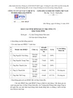 Báo cáo tình hình quản trị công ty công ty cổ phần vận tải và dịch vụ petrolimex hải phòng