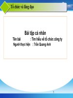 Tìm hiểu về tổ chức công ty