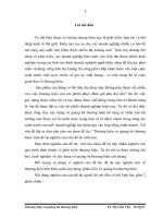 Thương hiệu và quảng bá thương hiệu