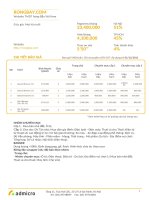 Báo giá rồng bay 