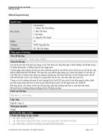 Mẫu kế hoạch bài dạy 