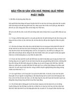 BAO TON DI SAN VAN HOA TRONG QUA TRINH PHAT TRIEN