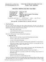 CTDT-DH-VT081__final