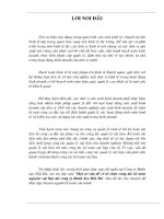 Một số vấn đề về tổ chức công tác kế toán nguyên vật liệu tại Công ty Bánh kẹo Hải Hà