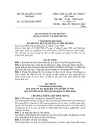 Quyết định của bộ trưởng bộ tài nguyên môi trường về giải thưởng môi trường