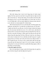 Thực trạng xây dựng và phát triển thương hiệu hàng da giày của Việt Nam trong điều kiện hội nhập kinh tế quốc tế