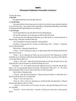 Minnesota Multiphasic Personality Inventory MMPI 