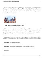 7 Khái niệm cơ bản về mobile marketing