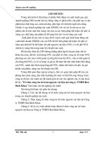 Tổ chức công tác kế toán nguyên vật liệu tại Công ty TNHH Hoá Bách Khoa