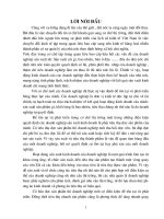 Kế toán tiêu thụ thành phẩm và xác định kết quả kinh doanh tại Công ty bánh kẹo Hải Châu