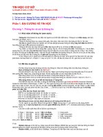 Lý thuyết tin học cơ sở