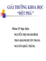 Giải thưởng khoa học đột phá