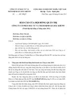 Báo cáo hội đồng quản trị công ty cổ phần đầu tư và thẩm định giá dầu khí PIV