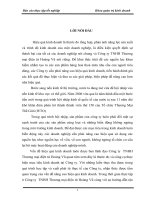 Phân tích hiệu quả sản xuất kinh doanh ở Công ty TNHH Thương mại điện tử Hoàng Vũ thực trạng và giải pháp