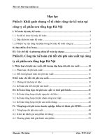 Tổ chức Kế toán tập hợp chi phí sản xuất và tính giá thành sản phẩm ở Công ty cổ phần sơn tổng hợp Hà Nội 