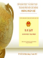 Luật giáo dục đại học