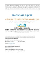 Bản cáo bạch công ty cổ phần chứng khoán VNS