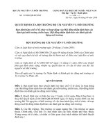 Quy chế về tổ chức và hoạt động của Hội đồng thẩm định báo cáo đánh giá môi trường chiến lược, Hội đồng thẩm định báo cáo đánh giá tác động môi trường