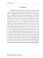 Công tác kế toán bán hàng theo các phương thức bán hàng trong doanh nghiệp thương mại