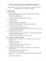 Mẫu báo cáo giám sát định kì