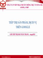 Tiếp thị sản phẩm, dịch vụ trên google