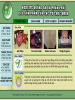 Đồ án Website quảng bá và phân phối các sản phẩm của các sản phẩm của các tôt chức HĐXH