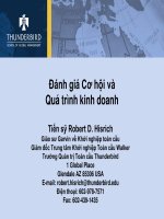 Đánh giá cơ hội và quá trình kinh doanh