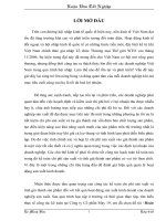 Hoàn thiện Kế toán tiêu thụ hàng hoá tại Công ty TNHH TM Thuỵ Dương