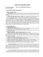 Báo cáo thường niên Công ty cổ phần dược phẩm 3-2