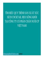 Tìm hiểu quy trình sản xuất xúc xích cocktail heo xông khói tại Công ty Cổ phần Chăn nuôi cổ phần Việt Nam