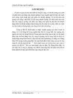 Giải pháp nâng cao thương hiệu của Công ty cổ phần quảng cáo BLUE