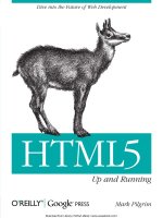 .HTML5