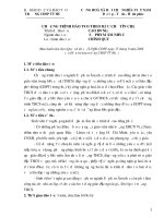 Ngành sư phạm âm nhạc