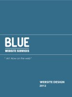 Blue website services
