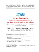 Báo cáo bạch công ty dịch vụ tổng hợp cảng Hải Phòng