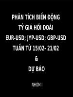 Phân tích biến động tỷ giá hối đoai