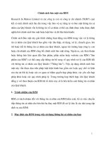 Chính sách bảo mật của RIM