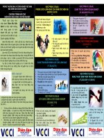 Giám đốc điều hành chuyên nghiệp