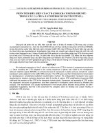 08.03.r.tiep-nguyenkhac