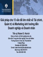 Giải pháp cho 13 vấn đề lớn nhất về tài chính, quản trị và marketing ảnh hưởng đến doanh nghiệp và doanh nhân