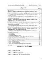 Hoàn thiện kế toán chi phí bán hàng tại Công ty TNHH Thiết bị bảo vệ và Điện tử tin học Việt Anh