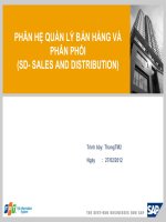 Phân hệ quản lý bán hàng và phân phối