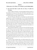 Kế toán tiêu thụ hàng hóa và xác định kết quả tiêu thụ hàng hóa tại Công ty Cổ phần Gas Petrolimex 