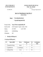 Báo cáo quản trị công ty công ty cổ phần đầu tư xây dựng bạch đằng TMC
