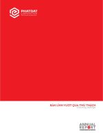 Báo cáo thường niên 2011 Công ty cổ phần phát triển bất động sản phát đạt