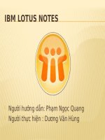 LOTUS NOTES DOMINO