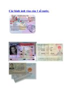 Các hình ảnh visa của 1 số nước.