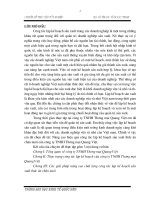 Nâng cao hiệu quả công tác lập kế hoạch sản xuất thức ăn chăn nuôi của Công ty TNHH Thương mại Quang Việt