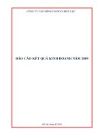 Báo cáo kết quả kinh doanh công ty tài chính cổ phần điện lực